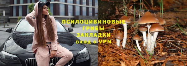 бошки Алексеевка