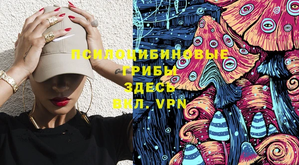 бошки Алексеевка