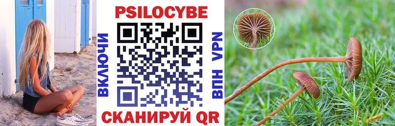 Псилоцибиновые грибы ЛСД  Раменское 